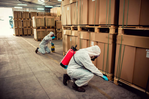 Best Residential Pest Control  in Pleasant View, TN