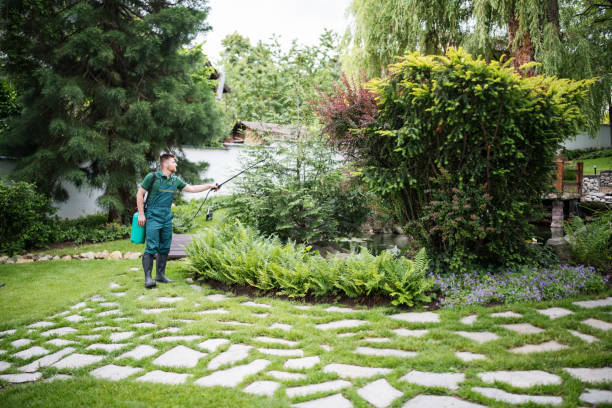 Best Affordable Pest Control Services  in Pleasant View, TN