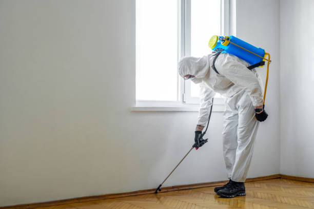 Best Wasp Removal Services  in Pleasant View, TN