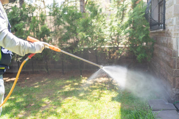 Best Best Pest Control Companies  in Pleasant View, TN