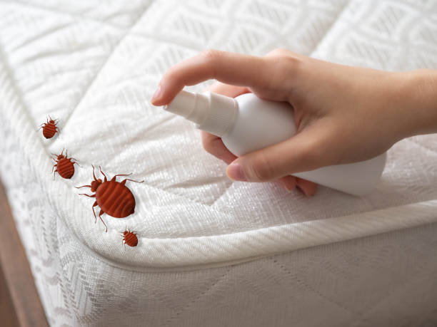 Best Emergency Pest Control  in Pleasant View, TN