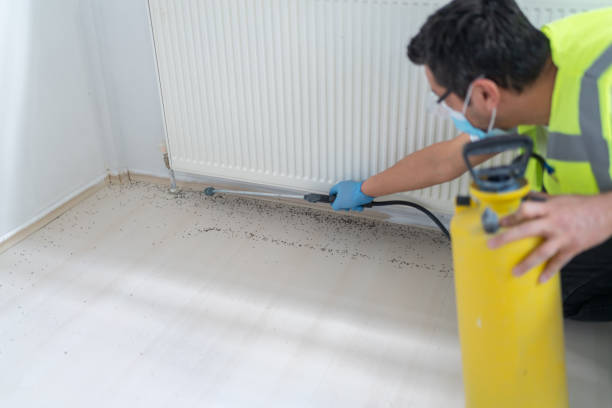 Best Residential Pest Control  in Pleasant View, TN