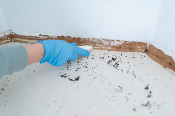 Best Pest Prevention Services  in Pleasant View, TN